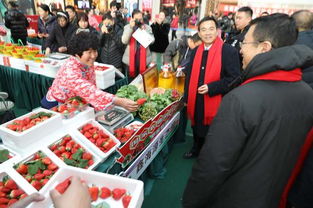 2019大連草莓文化旅游節(jié)暨農業(yè)產品博覽會開幕