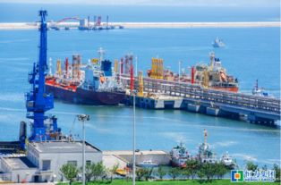 恒力股份著力推進煉化一體化項目建設(shè) 謀求多方共贏