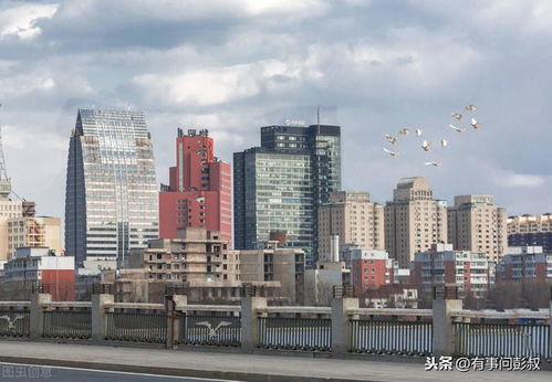 長(zhǎng)春房?jī)r(jià)跌破9千5元,長(zhǎng)春樓市降溫,9月第三周長(zhǎng)春樓市數(shù)據(jù)